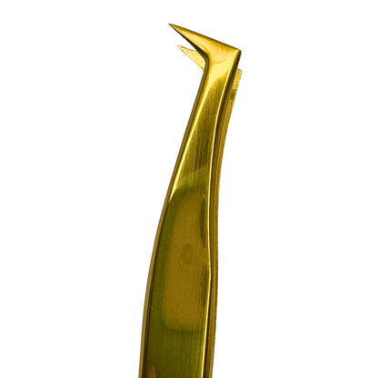 PINZA DE VOLÚMEN
